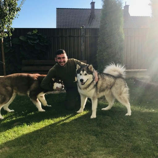 Atabay31, Боровляны