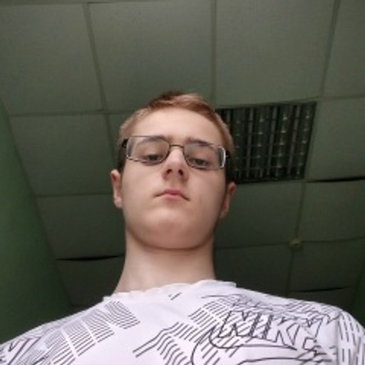 Артём18, Палики