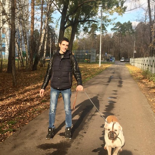 Дмитрий, 41 год, Струнино