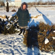 Елена, 59 лет, Дальнегорск