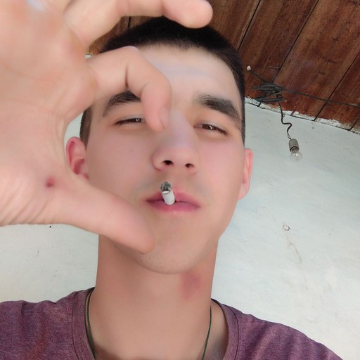 анонбисекс, 22