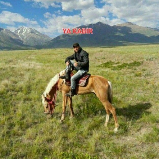 Макс, 34 года, Ялта