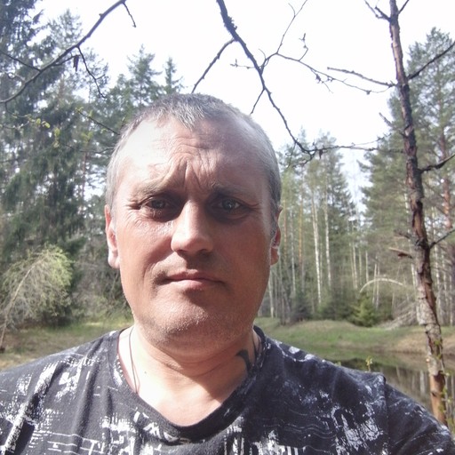 Сергей, 47 лет, Вистино