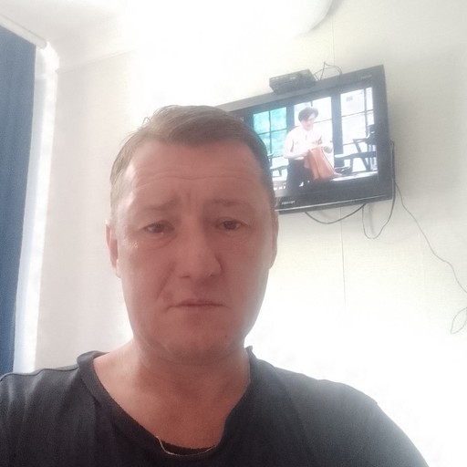 Роман45, Хоста