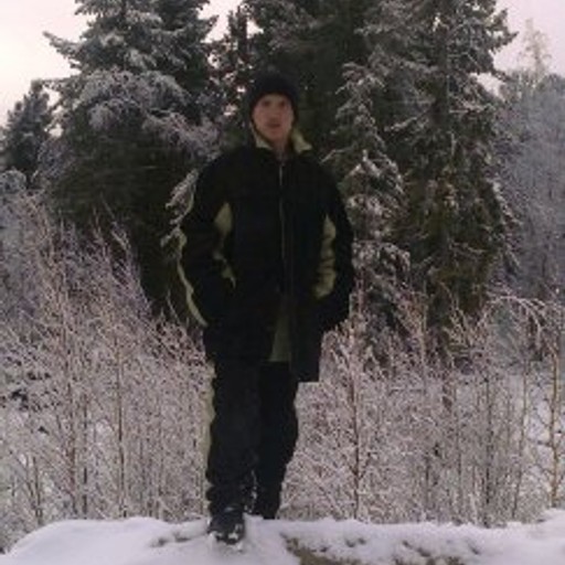 Роман38, Петровское