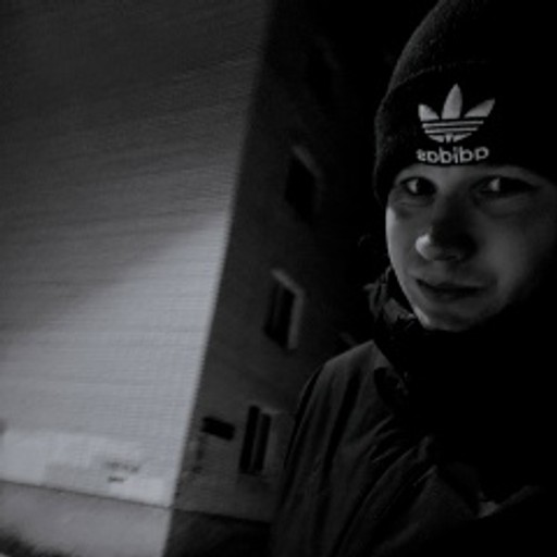 Серега26, Гусь-Хрустальный