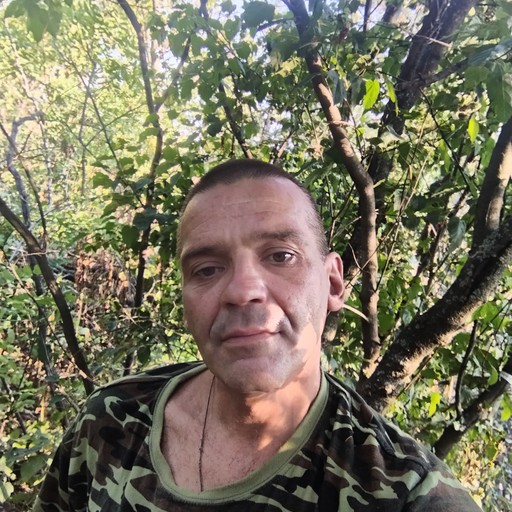 денис44, Партизанск