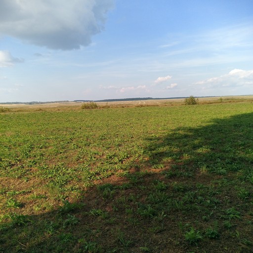 Миша34, Копейск