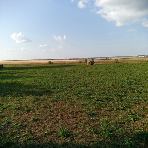 Миша34, Копейск