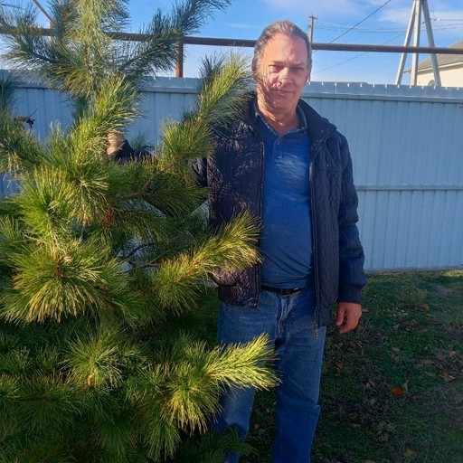 Владимир60, Ястребки