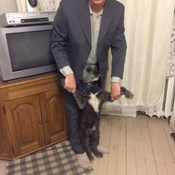 денис, 56 лет, Нижний Новгород