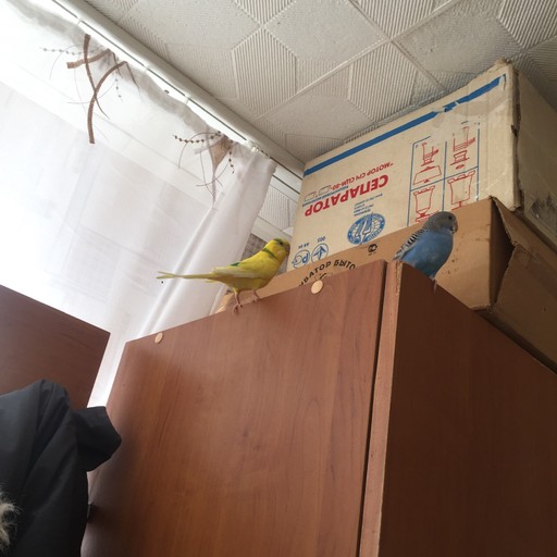 Даня26, Орск