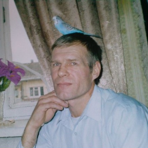 Олег,66, Вязьма