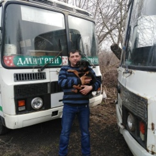 Дмитрий44, Белгородская Область