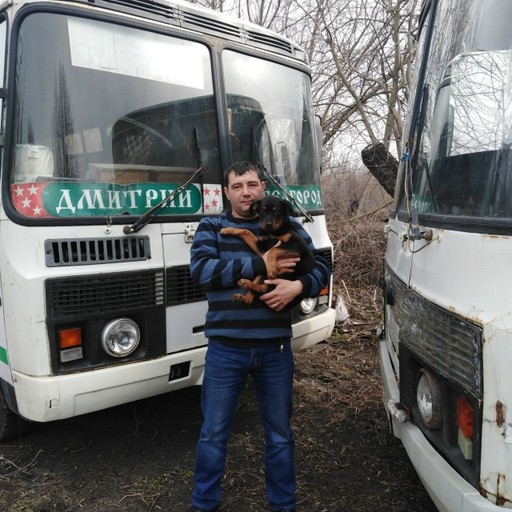 Дмитрий,45, Белгородская Область