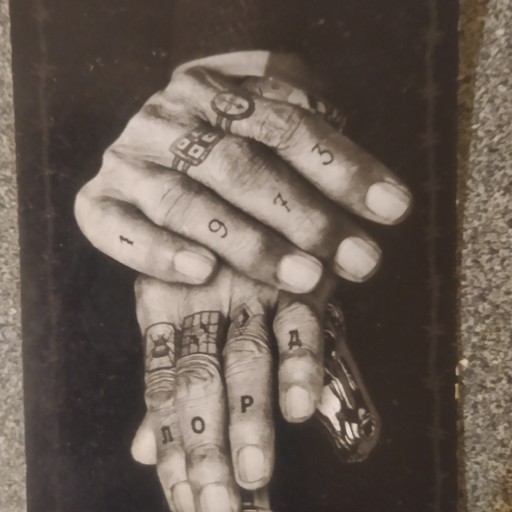 Кот, 47 лет, Врангель