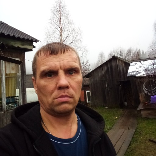 Виктор, 47 лет, Вельск