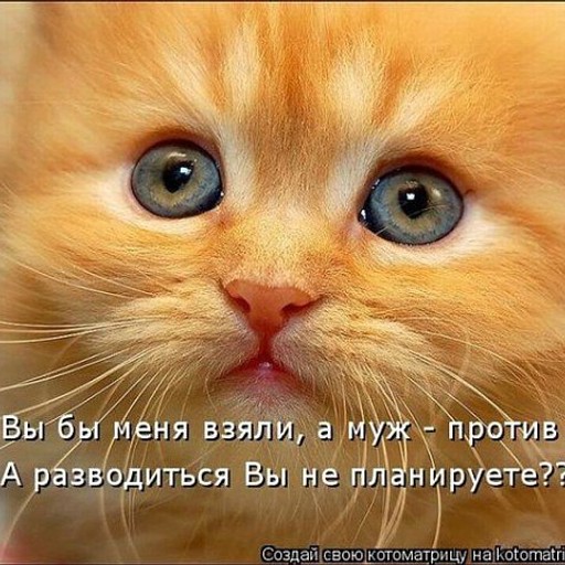 BARBA ROSSA, 38 лет, Тверь