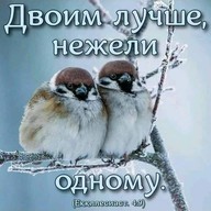 Владимир, 37 лет, Яровое