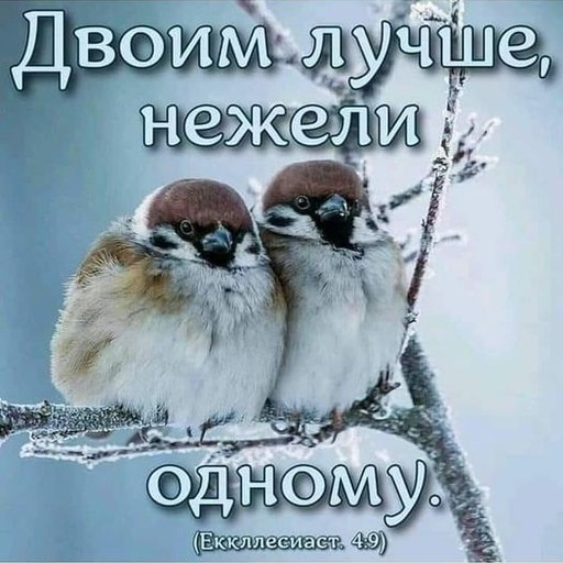 Владимир, 37 лет, Яровое