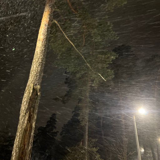 Анастасия28, Рязань