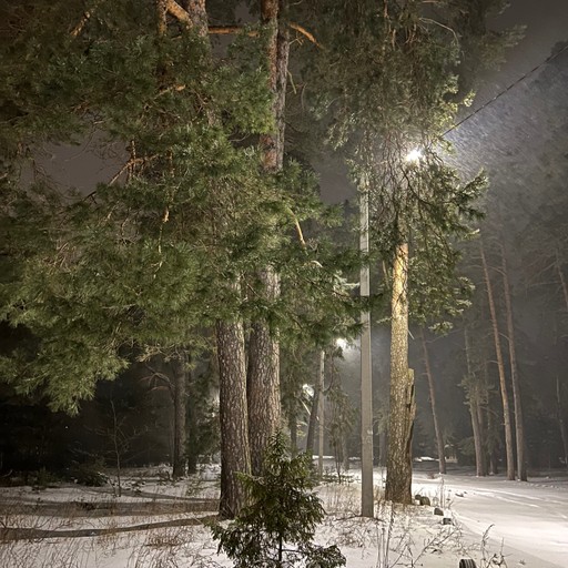 Анастасия28, Рязань