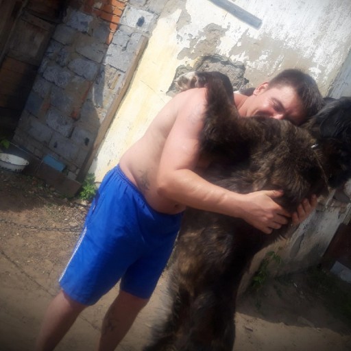 Иван, 39 лет