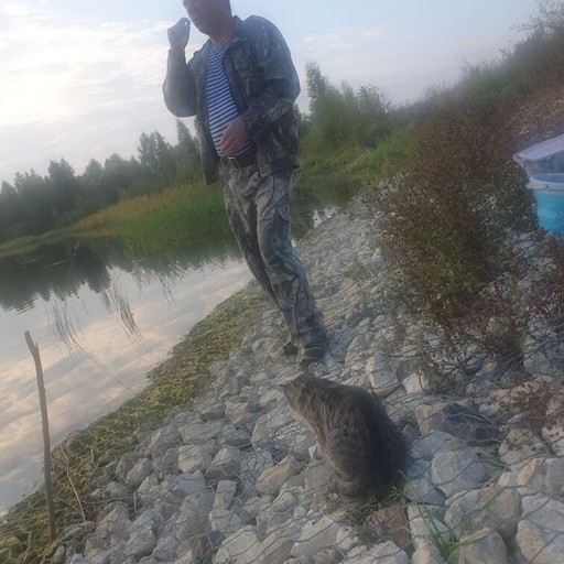 василий, 63 года, Сасово