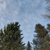 Виктория, 26 лет, Новосибирск