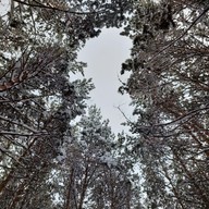 Виктория, 26 лет, Новосибирск