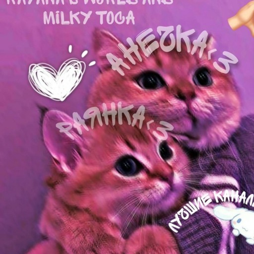 Евгения38, Бобрики