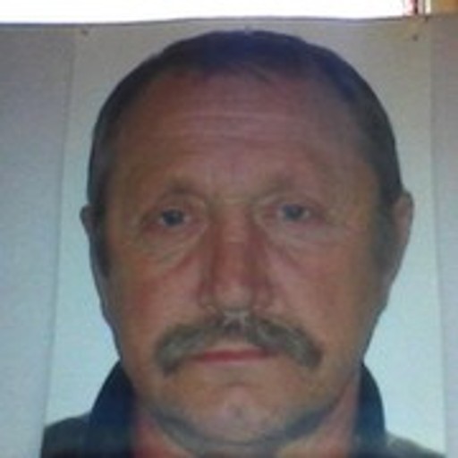 Владимир, 74 года, Осинки