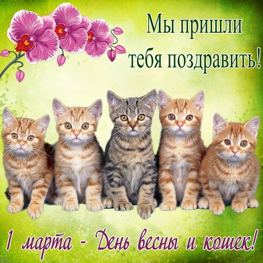 Асхаб, 39 лет, Красногорск