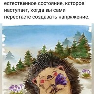 Галина, 43 года, Прокопьевск