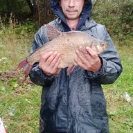 Денис, 42 года, Нижний Тагил