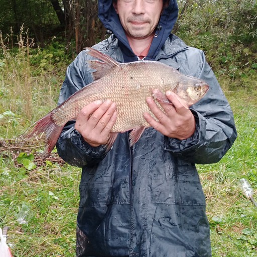 Денис, 42 года, Нижний Тагил