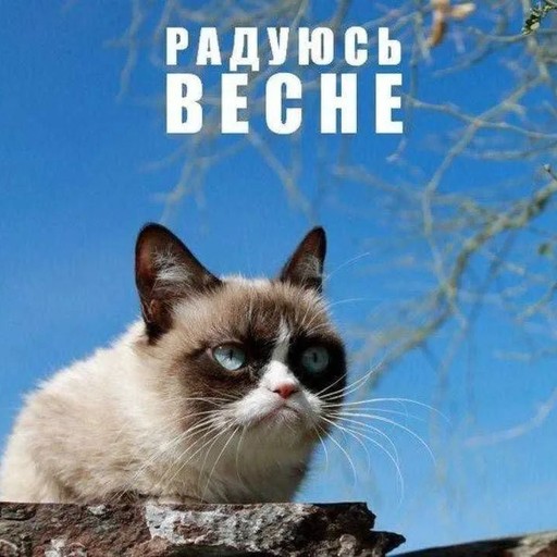 Олег, 45 лет