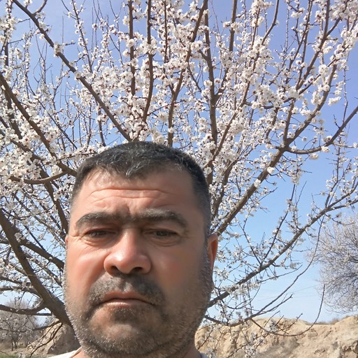 Шавкат, 47 лет, Ермолино