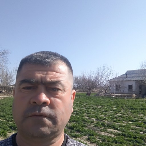 Шавкат, 47 лет, Ермолино