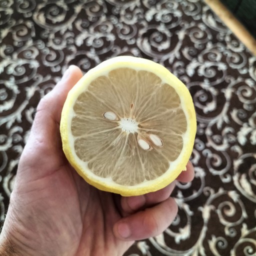 Дмитрий45, Тисуль