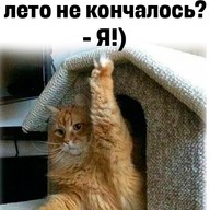 Степан, 39 лет, Нижний Новгород