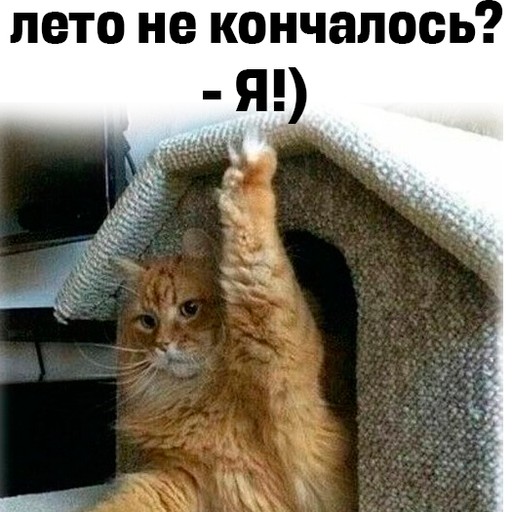 Степан, 38 лет, Нижний Новгород