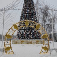 Лана, 53 года, Сургут