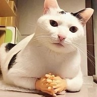 Игорь, 29 лет, Пенза