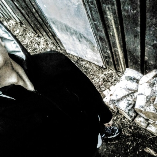 Дима28, Тайшет