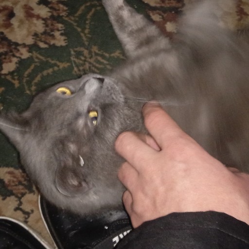 Женя, 19 лет, Енакиево