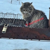 Геннадий, 38 лет, Казань