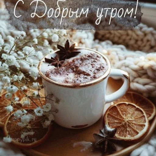 Алёна52, Шахты