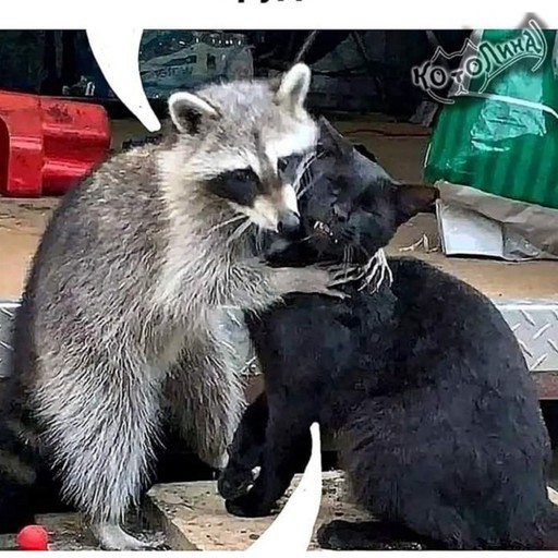 Алёна52, Шахты