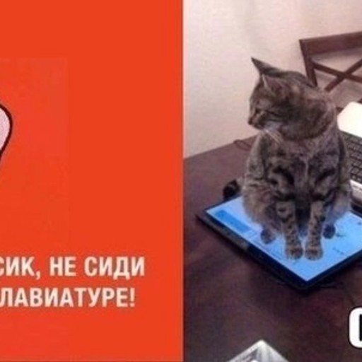Алекс, 35 лет, Новые Олешки